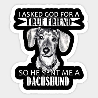 Dachshund T-shirt - Dachshund True Friend Sticker